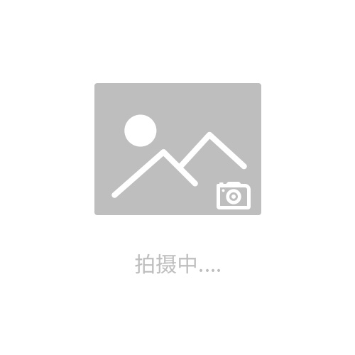粉末色差儀 固體(粉末)表面分析儀